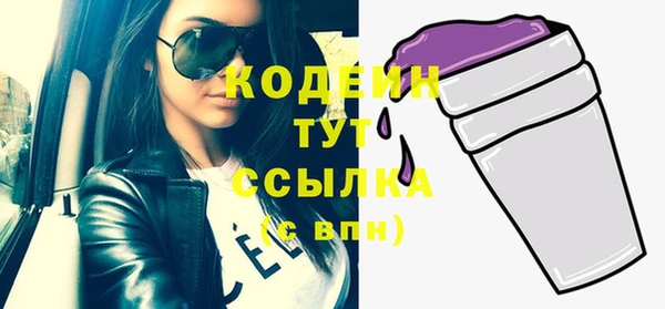 ГАЛЛЮЦИНОГЕННЫЕ ГРИБЫ Вязники