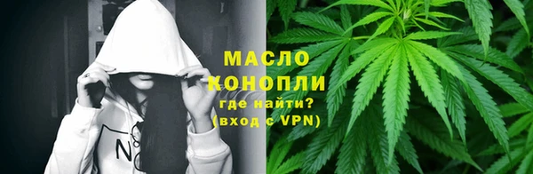 гидра Вязьма