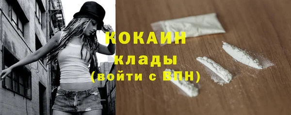 ГАЛЛЮЦИНОГЕННЫЕ ГРИБЫ Вязники