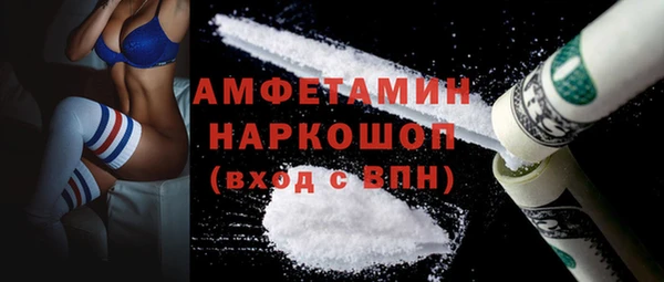 гидра Вязьма