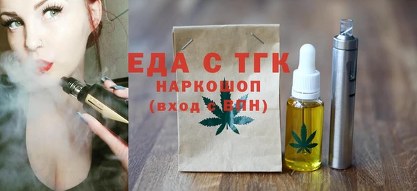 гидра Вязьма
