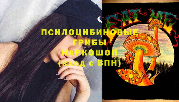 мяу мяу мука Вяземский