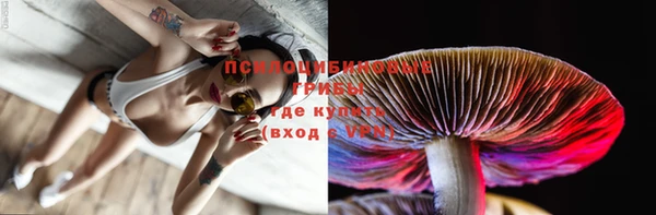 гидра Вязьма