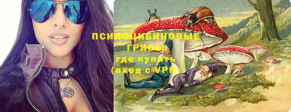 ГАЛЛЮЦИНОГЕННЫЕ ГРИБЫ Вязники