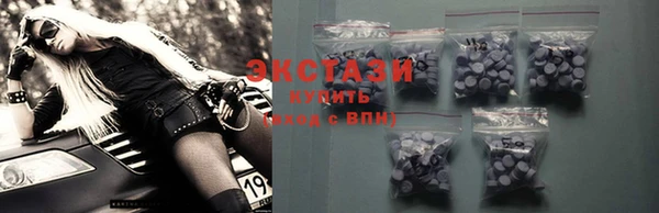 гидра Вязьма