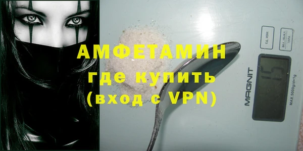 гидра Вязьма