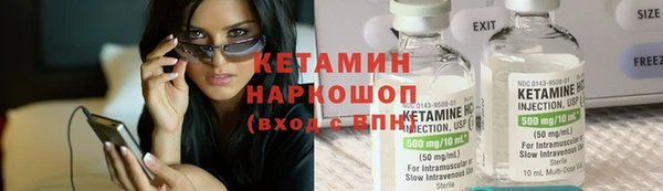 гидра Вязьма