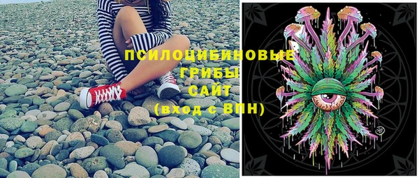 мяу мяу мука Вяземский