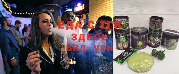 гидра Вязьма