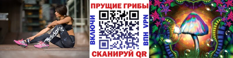 Псилоцибиновые грибы ЛСД  магазин продажи наркотиков  Назрань 